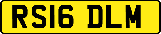 RS16DLM