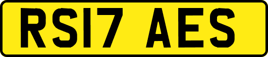 RS17AES