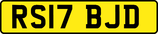 RS17BJD