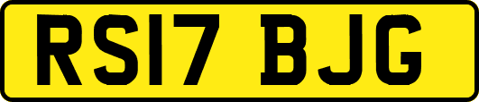RS17BJG