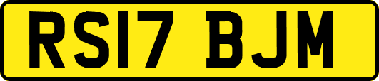 RS17BJM