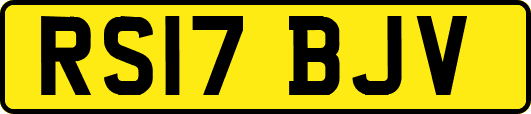 RS17BJV