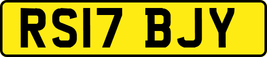RS17BJY