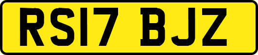 RS17BJZ
