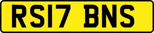 RS17BNS