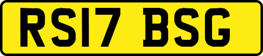 RS17BSG