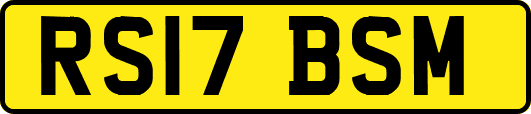 RS17BSM