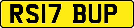 RS17BUP
