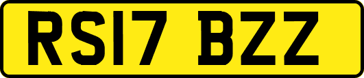 RS17BZZ
