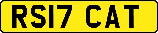 RS17CAT