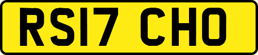 RS17CHO