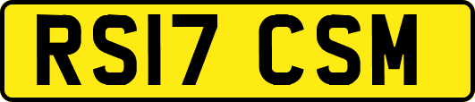 RS17CSM