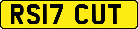 RS17CUT