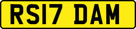 RS17DAM