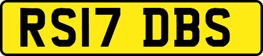 RS17DBS