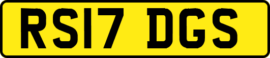 RS17DGS