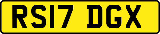 RS17DGX