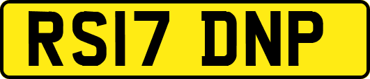 RS17DNP