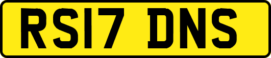 RS17DNS