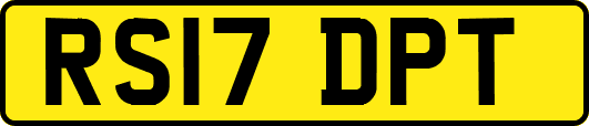RS17DPT