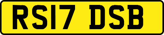 RS17DSB