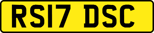 RS17DSC