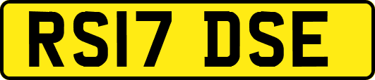 RS17DSE
