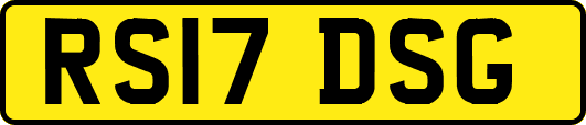 RS17DSG