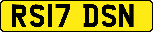 RS17DSN