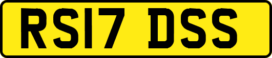 RS17DSS