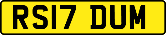 RS17DUM