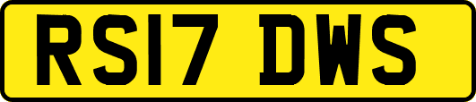 RS17DWS