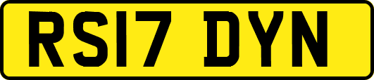 RS17DYN