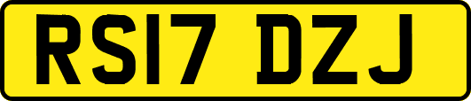 RS17DZJ