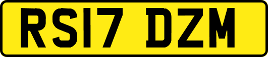 RS17DZM