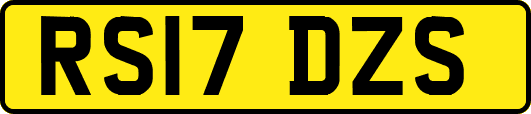 RS17DZS