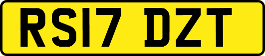 RS17DZT