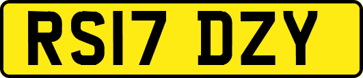 RS17DZY