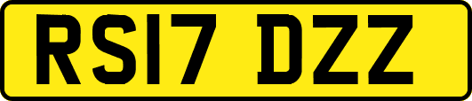 RS17DZZ