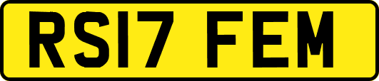 RS17FEM