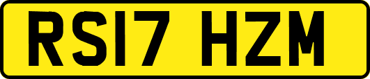 RS17HZM