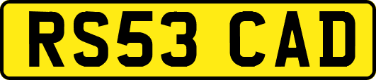 RS53CAD