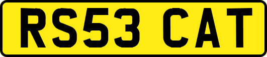 RS53CAT
