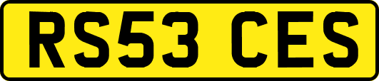 RS53CES
