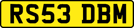 RS53DBM