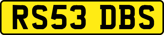 RS53DBS