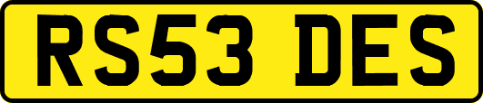 RS53DES