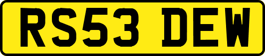 RS53DEW