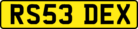 RS53DEX