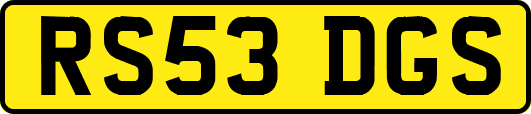 RS53DGS
